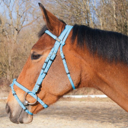 Trensenzaum Biotack® T de T Lichtblauw