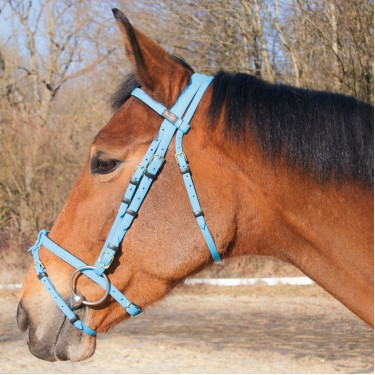 Trensenzaum Biotack® T de T Lichtblauw