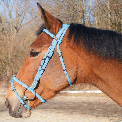 Bridon Biotack® T de T Bleu clair