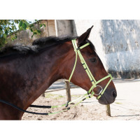 Trensenzaum Biotack® T de T Lichtblauw Trensenzaum Biotack® T de T Lichtblauw