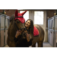 Vliegennetje Lami-Cell Luxin Zwart