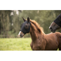 Vliegenmasker Lami-Cell Lycra Zwart