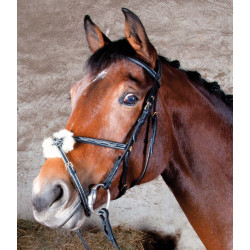 Bridon Kessel T de T kopstuk drievoudig kruisneusriem Havane foncé Bridon Kessel T de T kopstuk drievoudig kruisneusriem Havane foncé