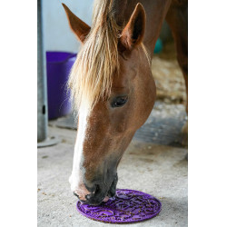 Likit Graze Maze likmat Violet