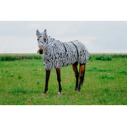 Antiekzeemkap Riding World Zwarte / witte zebra Motieven