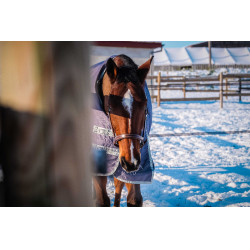 Equithème Tyrex 1200D gerecycleerde deken Taupe Bruin Equithème Tyrex 1200D gerecycleerde deken Taupe Bruin