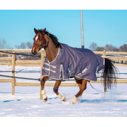 Equithème Tyrex 1200D gerecycleerde deken Taupe Bruin Equithème Tyrex 1200D gerecycleerde deken Taupe Bruin