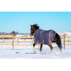 Equithème Tyrex 1200D gerecycleerde deken Taupe Bruin Equithème Tyrex 1200D gerecycleerde deken Taupe Bruin