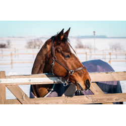 Equithème Tyrex 1200D gerecycleerde deken Taupe Bruin Equithème Tyrex 1200D gerecycleerde deken Taupe Bruin