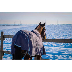 Equithème Tyrex 1200D gerecycleerde deken Taupe Bruin Equithème Tyrex 1200D gerecycleerde deken Taupe Bruin