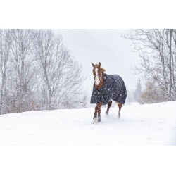 Waterdichte Oxford-deken Riding World Waterdichte Oxford-deken Riding World