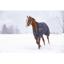 Waterdichte Oxford-deken Riding World Waterdichte Oxford-deken Riding World