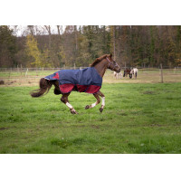 Equithème Tyrex 1200 D deken / Transparant Equithème Tyrex 1200 D deken / Transparant