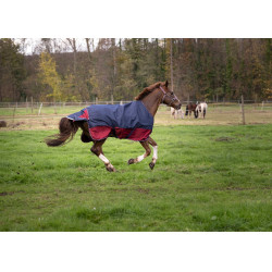 Equithème Tyrex 1200 D deken Marine / bordeaux Blauw Equithème Tyrex 1200 D deken Marine / bordeaux Blauw