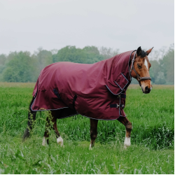Equithème TYREX 1200D Combo deken Bordeaux