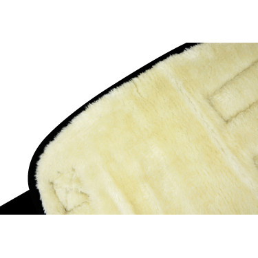 Lage transportbeschermers Zwart