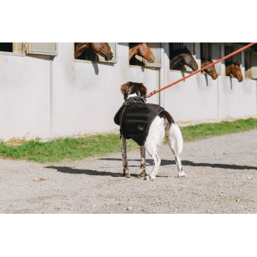 Hondenhoes Equithème Softshell Hondenhoes Equithème Softshell