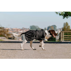 Hondenhoes Equithème Softshell Zwart Hondenhoes Equithème Softshell Zwart
