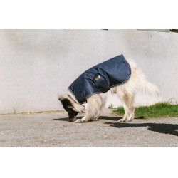 Hondenhoes Equithème TYREX 600D Blauw / grijs Hondenhoes Equithème TYREX 600D Blauw / grijs