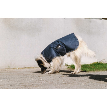 Hondenhoes Equithème TYREX 600D Blauw / grijs Hondenhoes Equithème TYREX 600D Blauw / grijs