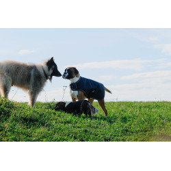 Hondenhoes Equithème TYREX 600D Blauw / grijs Hondenhoes Equithème TYREX 600D Blauw / grijs