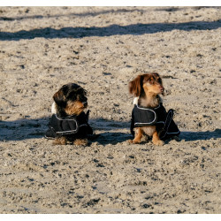 Hondenhoes Ik hou van je Equithème Zwart