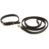 Halsband en riem voor hond Equithème Max Bruin Halsband en riem voor hond Equithème Max Bruin