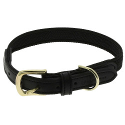 Halsband voor hond Equithème Nala