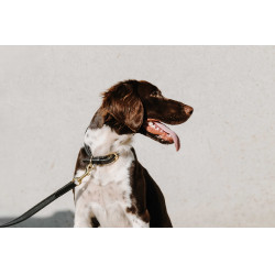 Halsband voor hond Equithème Nala Zwart