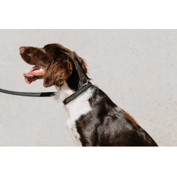 Halsband voor hond Equithème Nala Zwart