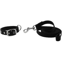 Halsband en lijn voor hond Riding World Oscar Zwart