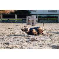 Fleecehemd voor hond Equithème Marine Marineblauw Fleecehemd voor hond Equithème Marine Marineblauw