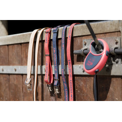 Leren halsband Diego & Louna voor honden Leren halsband Diego & Louna voor honden