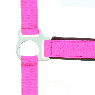 Norton Fluo halster gevoerd Roze Norton Fluo halster gevoerd Roze