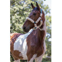 Norton halster Full synthetische schapenvacht Elektrisch blauw / écru