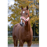 Norton Comfort halster Rood