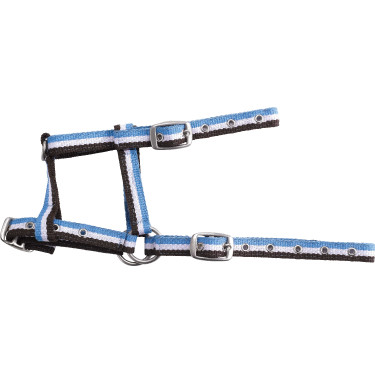 Verstelbaar veulenhalster Choco / wit / hemelblauw Bruin