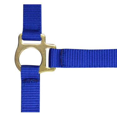 Nylon halster veulen Koningsblauw Nylon halster veulen Koningsblauw