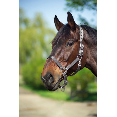 Halster Equithème Nylon Donkergrijs
