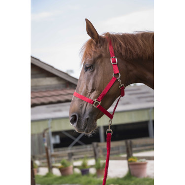 Halster- en leidlijnset Club Rood Halster- en leidlijnset Club Rood