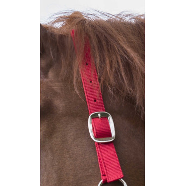 Halster- en leidlijnset Club Rood Halster- en leidlijnset Club Rood