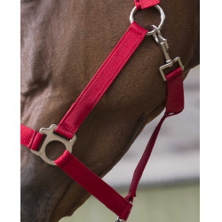 Halster- en leidlijnset Club Rood Halster- en leidlijnset Club Rood