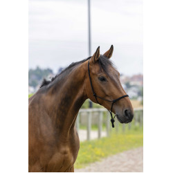 Ethologisch halster touw Fin Zwart Ethologisch halster touw Fin Zwart