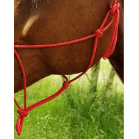 Ethologisch halster touw Fin Rood