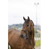 Ethologisch halster Norton + leadrope Eco Zwart / wit / zilver Ethologisch halster Norton + leadrope Eco Zwart / wit / zilver