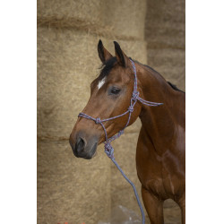 Ethologisch halster Norton + leadrope Eco Grijs / framboos / zwart Ethologisch halster Norton + leadrope Eco Grijs / framboos / zwart