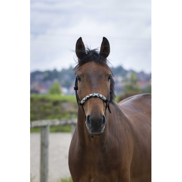 Ethologische halster Norton Pearl Zwart