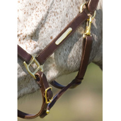 Halster Excelsior met dubbele verstelling Halster Excelsior met dubbele verstelling