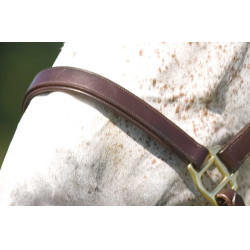 Halster Excelsior met dubbele verstelling Halster Excelsior met dubbele verstelling