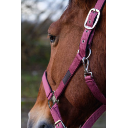 Nylon Halster Spring Equithème Roze